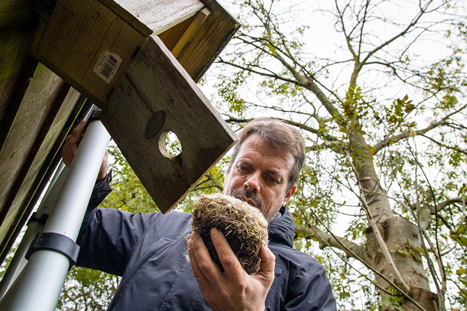 Is jouw omgeving vrij van bestrijdingsmiddelen? Onderzoekers vogelen dit uit in ‘Meet de Mees’. Want met de koolmees als biomonitoringtool moet onderzoek naar de verspreiding ervan een vlucht nemen. Help jij mee? #biodiversiteit #leefomgeving #gezondheid👉bit.ly/4iAl7Wm