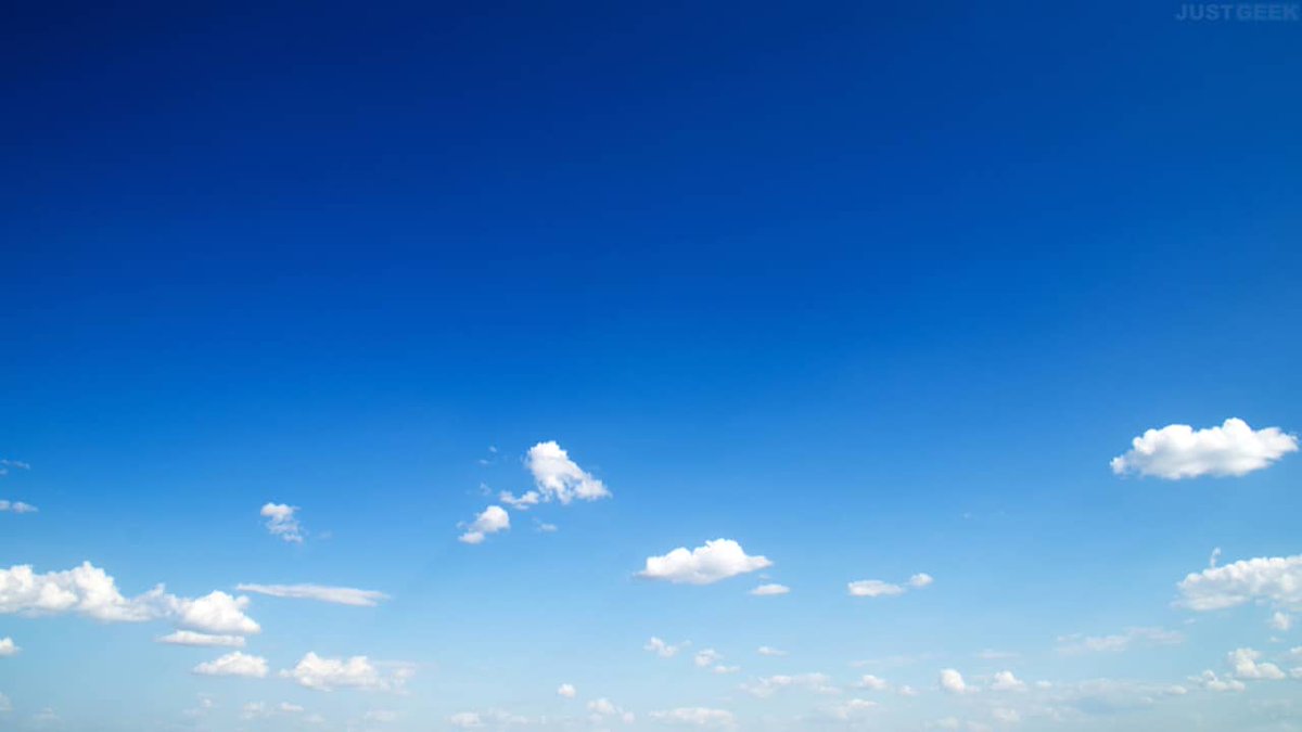 Anne Bringault @annebringault.bsky.social tweet media