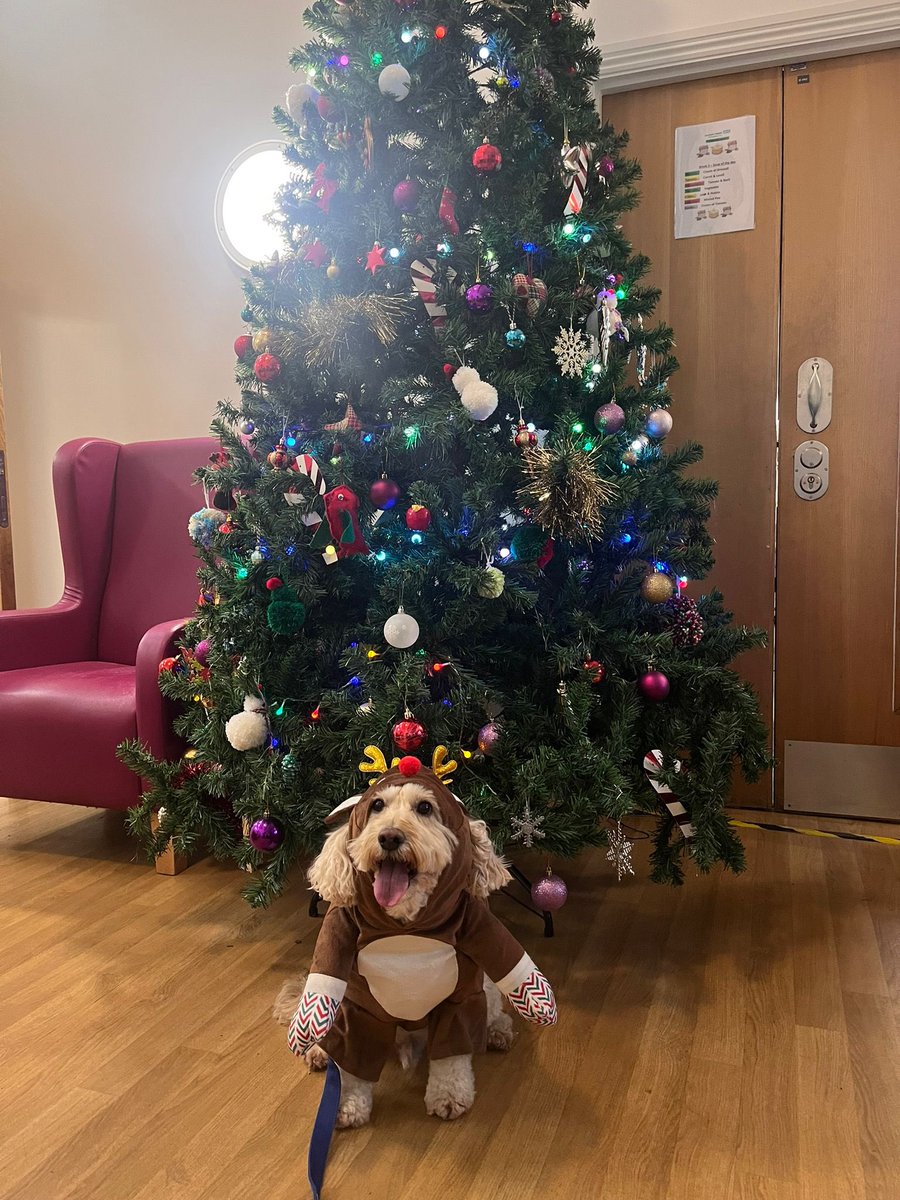 A warm welcome and a loyal furry friend 🫶🏻 #JuniperWardRocks #PetsAsTherapy