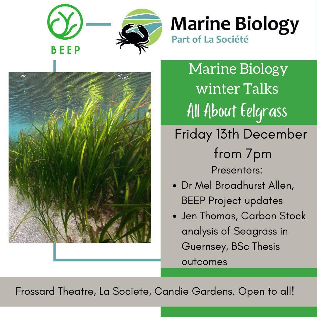 BEEP (@beepresearch) on Twitter photo Not long now! 🥳
Come in from the wintery gusts tomorrow evening to hear of our #eelgrass escapades across the Bailiwick for 2024 🌱
<a href="/AlderneyWT/">AlderneyWT</a> WILDLIFE TRUST #Biodiversity Partnership
<a href="/LaSocieteG/">La Société Guernesiaise</a>
<a href="/GuernseyBRC/">GuernseyBRC</a>
#guernseyseasearch Not long now! 🥳
Come in from the wintery gusts tomorrow evening to hear of our #eelgrass escapades across the Bailiwick for 2024 🌱
<a href="/AlderneyWT/">AlderneyWT</a> WILDLIFE TRUST #Biodiversity Partnership
<a href="/LaSocieteG/">La Société Guernesiaise</a>
<a href="/GuernseyBRC/">GuernseyBRC</a>
#guernseyseasearch