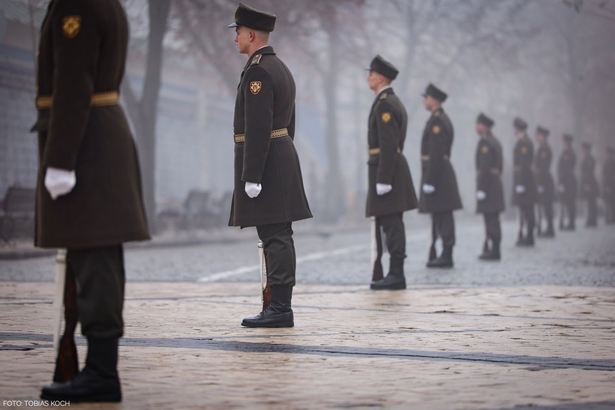 Tobias Koch tweet media