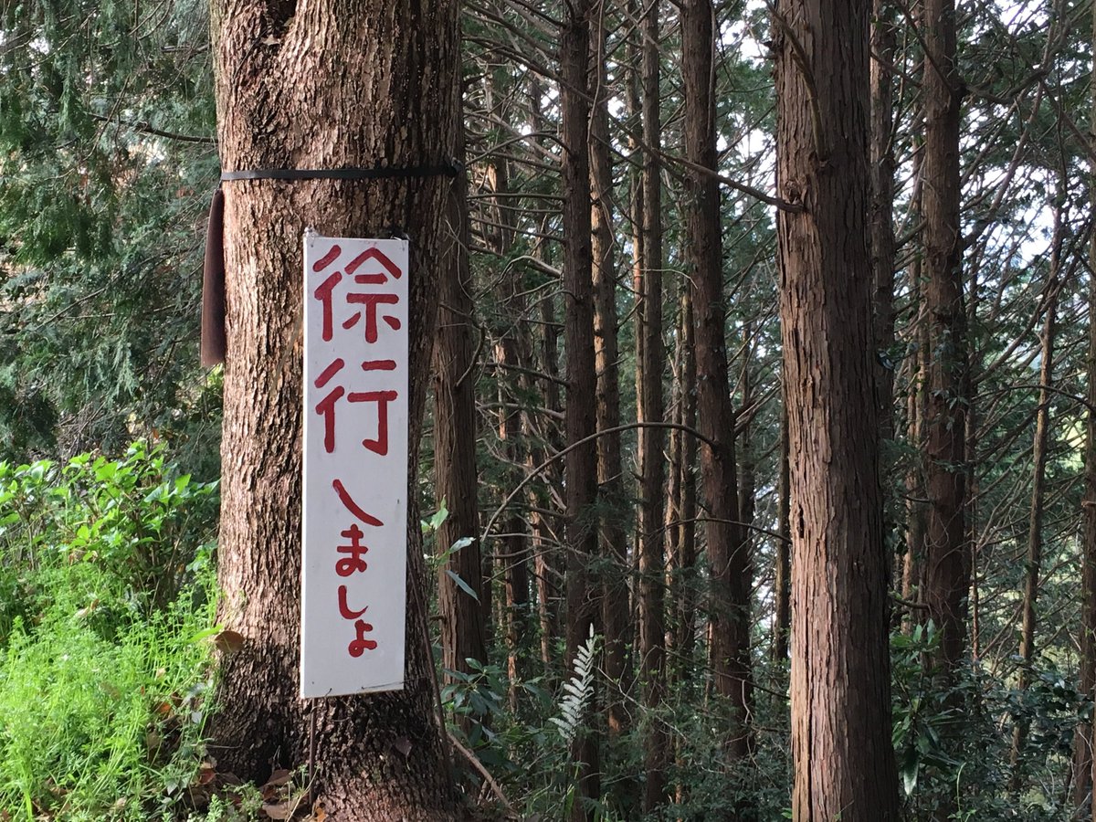 #手描きでしか伝わらない味わいがここにある