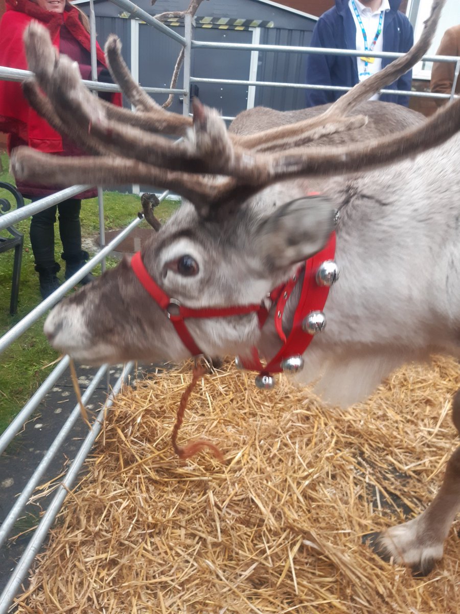 Specialist Continence Service tweet media