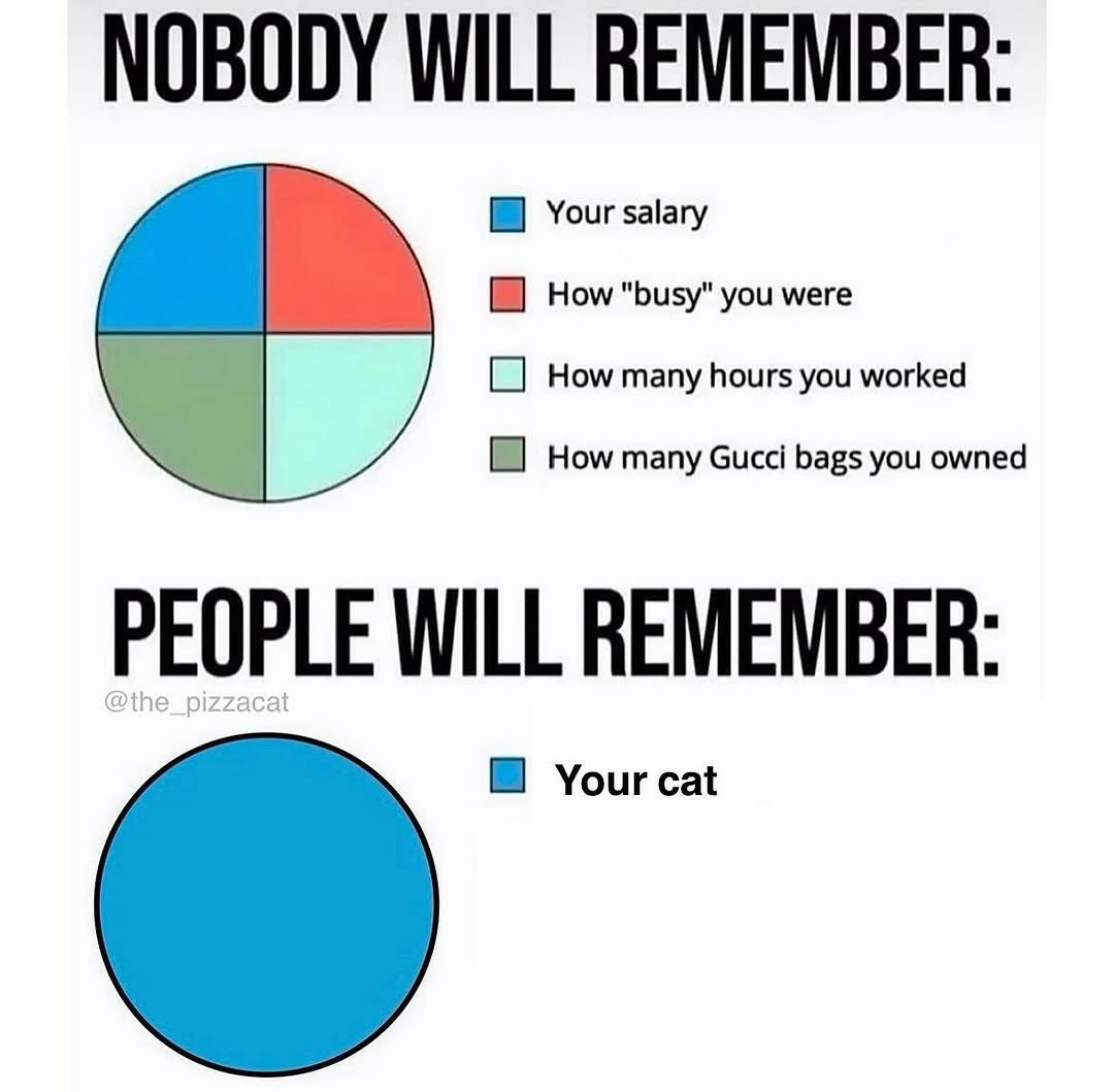 contents that ll heal your depression 🌻 (@catshealdeprsn) on Twitter photo 