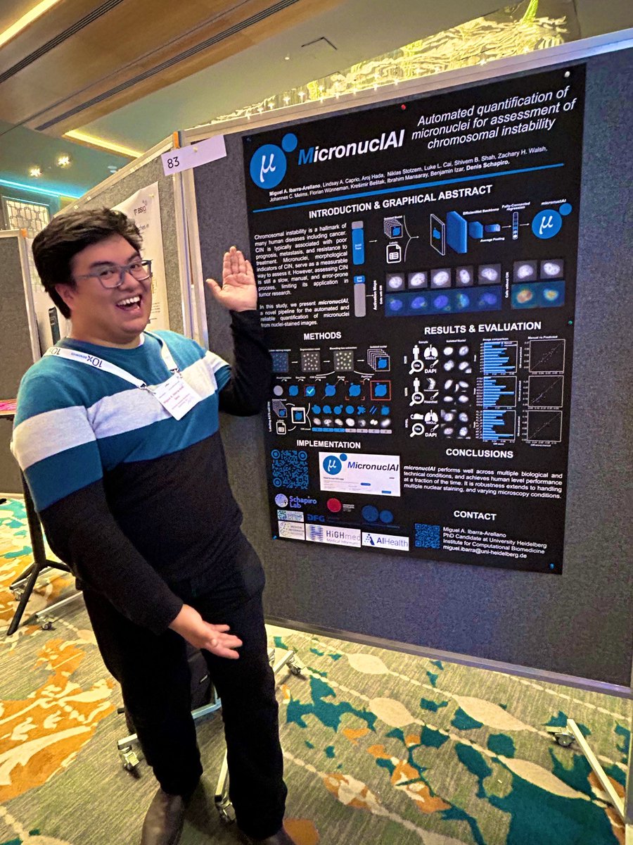 Interested into easy quantification of chromosomal instability for your IF data? Come check Poster 83 at #ESSB2024 <a href="/DenisSchapiro/">Denis</a>