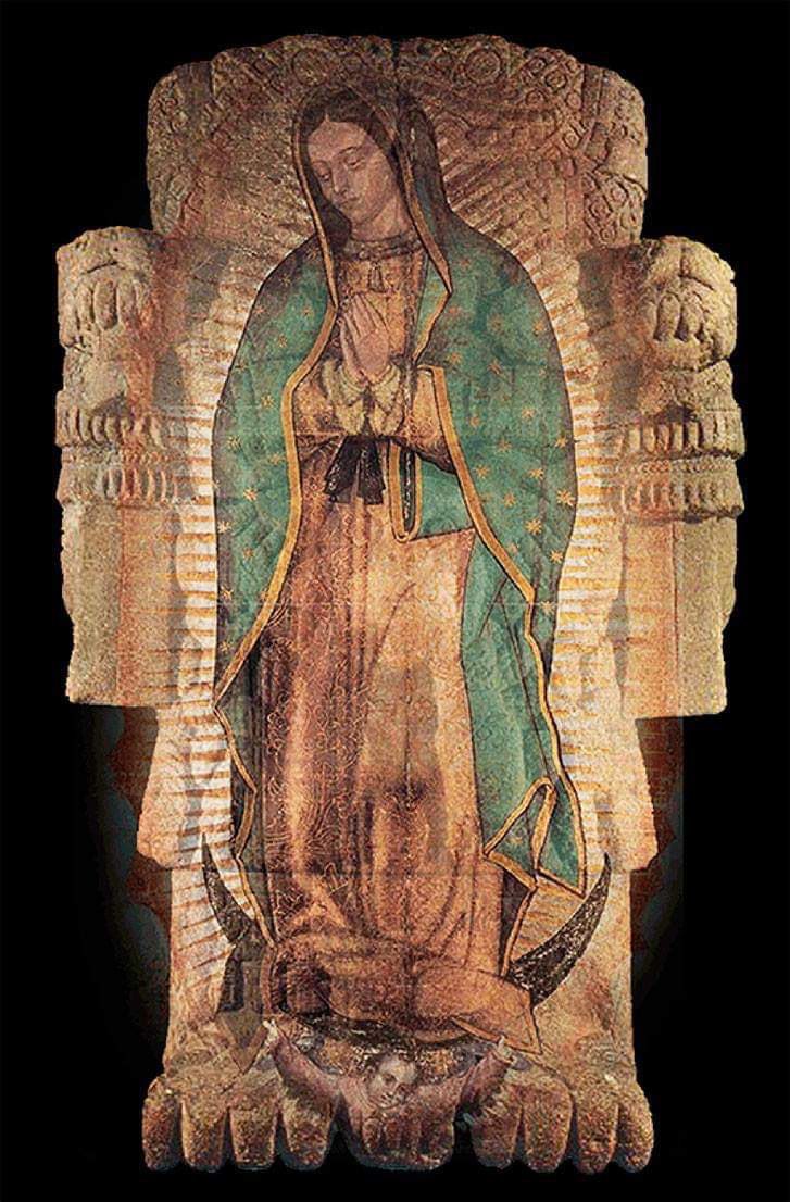 La fuerte controversia entre los franciscanos y el poder del arzobispado de Alonso de Montúfar, quien apoyó este culto para centralizar el poder de la iglesia. 
Por qué razón apareció la Virgen de Guadalupe en el antiguo cerro del Tepeyacac en el año de 1531 ? Por la sencilla