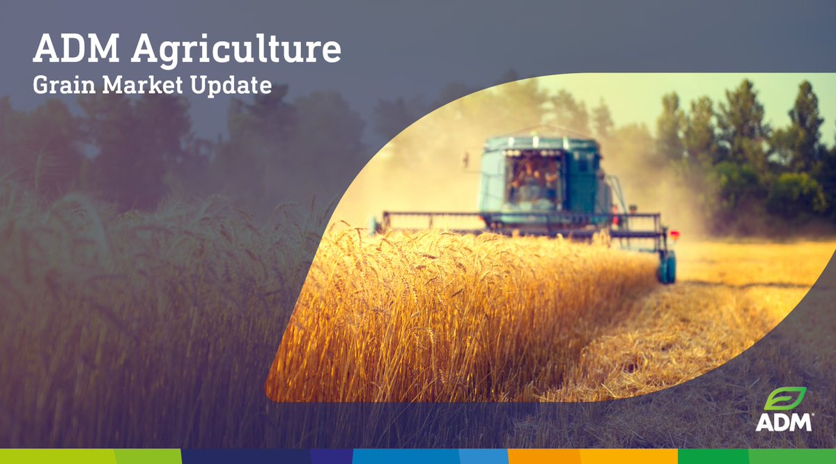 📽️ Join Freddie Humfrey, Head of Grain Trading at ADM Agriculture, as he unpacks an intriguing week in the #grain markets. With the #USDA report aligning with expectations, Freddie shares key insights and discusses the potential market impacts ➡️ bit.ly/4iM1eM7