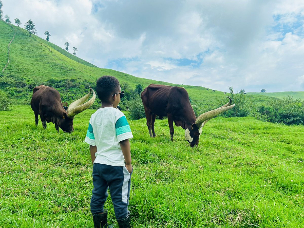 This is photo is coo❤️😎