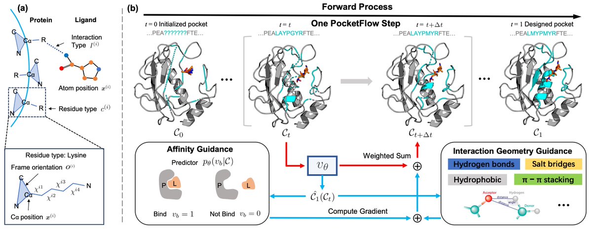 Congrats to #KempnerInstitute's <a href="/marinkazitnik/">Marinka Zitnik</a> &amp; colleagues whose work is featured as a spotlight paper at #NeurIPS2024! Check out "Generalized Protein Pocket Generation with Prior-Informed Flow Matching" at the 11a session today. <a href="/ZaixiZhang/">Zaixi Zhang</a> <a href="/leuchine/">Qi Liu</a> buff.ly/4fgzlsp