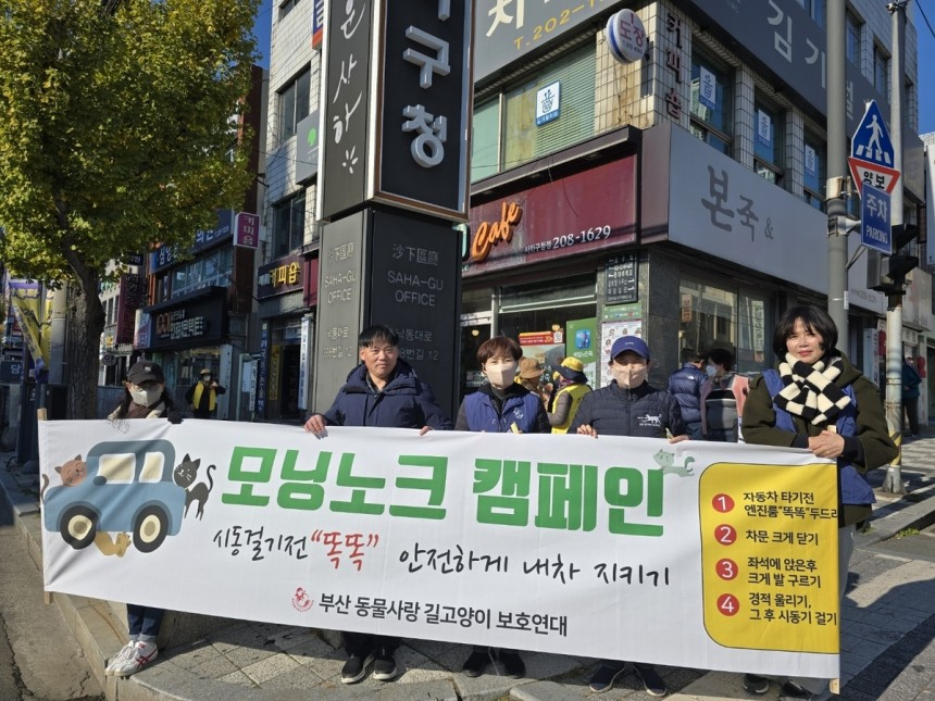 tang__kira's tweet photo. Saat suhu turun di musim dingin, kucing liar yang berkeliaran di jalanan sering mencari tempat berlindung yang hangat, termasuk di dalam mobil.

Sejak 1 Desember, Busan Animal Lovers' Stray Cat Protection Organization mengkampanyekan "morning knock" bersama pemerintah untuk meningkatkan kesadaran masyarakat akan hal ini