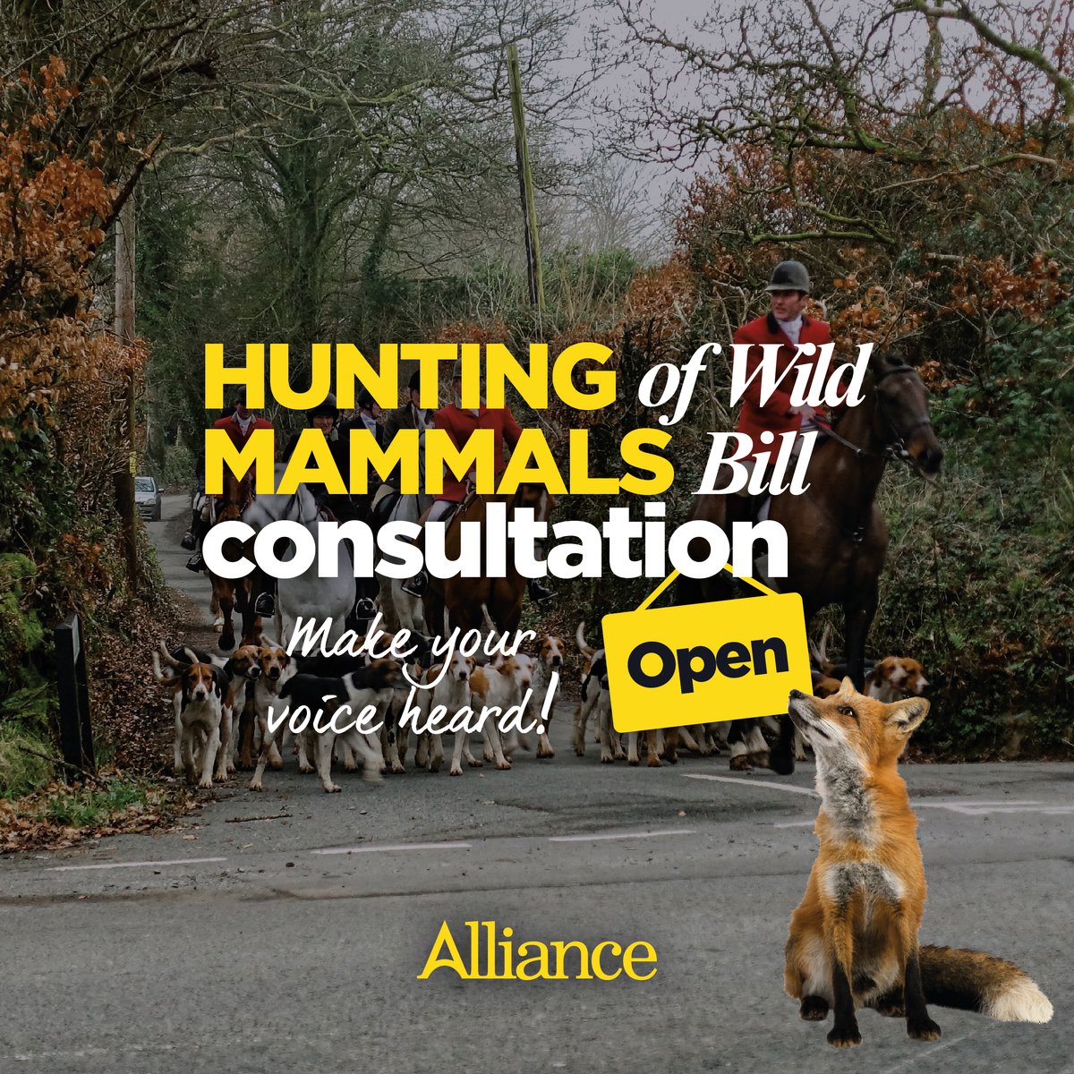 John Blair MLA tweet media