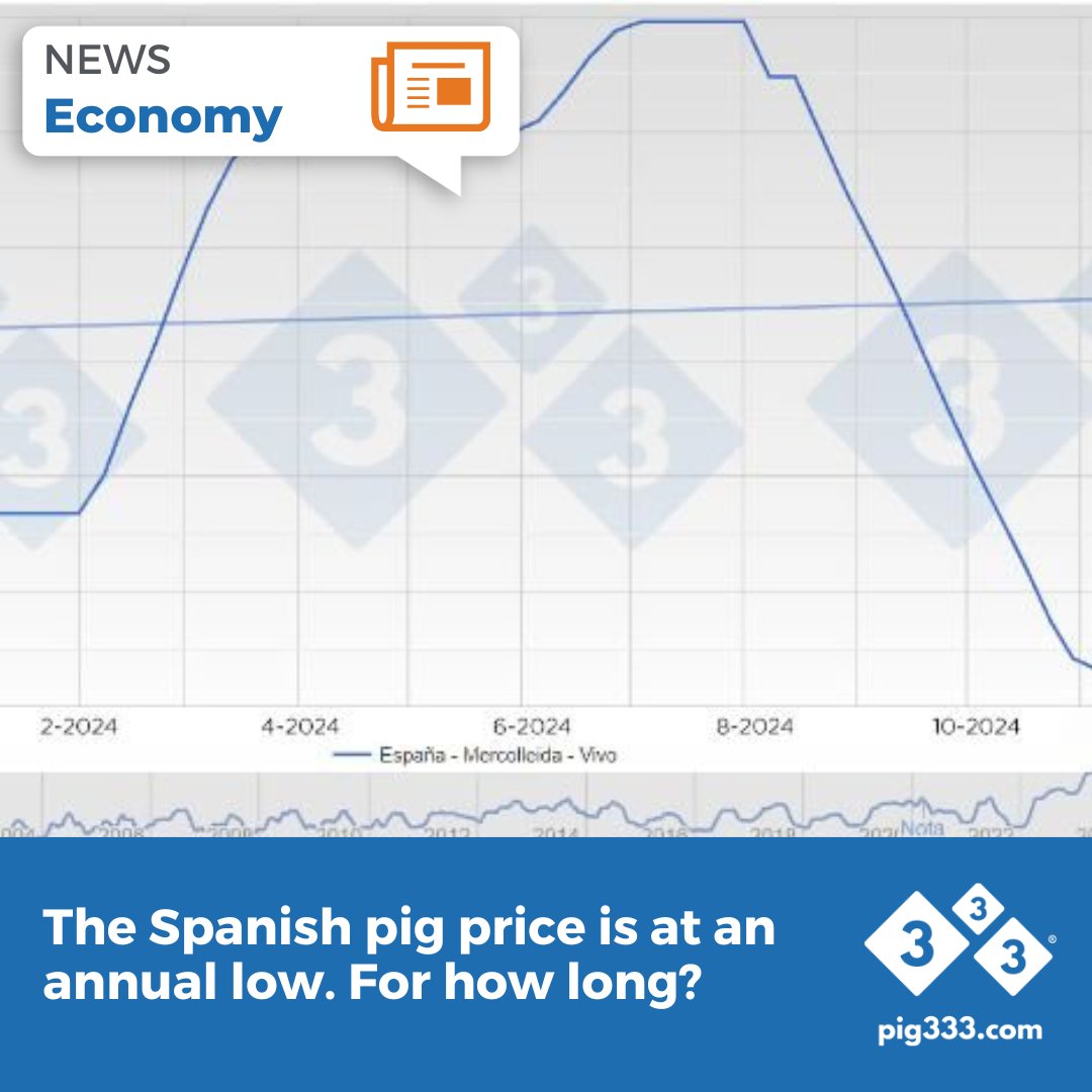 The price is not expected to change in the coming weeks, provided nothing extraordinary happens. 🐷

🔗 pig333.com/articles/the-s…

#PIG333