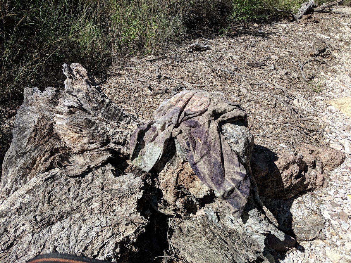 Impact Ethics tweet media