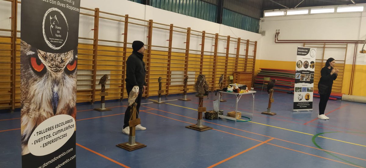 CeipLorenzo's tweet photo. ¿Es un avión? ¡No! ¡Es un halcón peregrino! Nuestros peques de Ed. Inf 5 años han disfrutado de una visita muy especial: una bandada de aves rapaces ha visitado el centro. Ni que decir que los chic@s se lo han pasado muy bien en compañía de tan singulares animales. https://t.co/jdkn1T6mmc