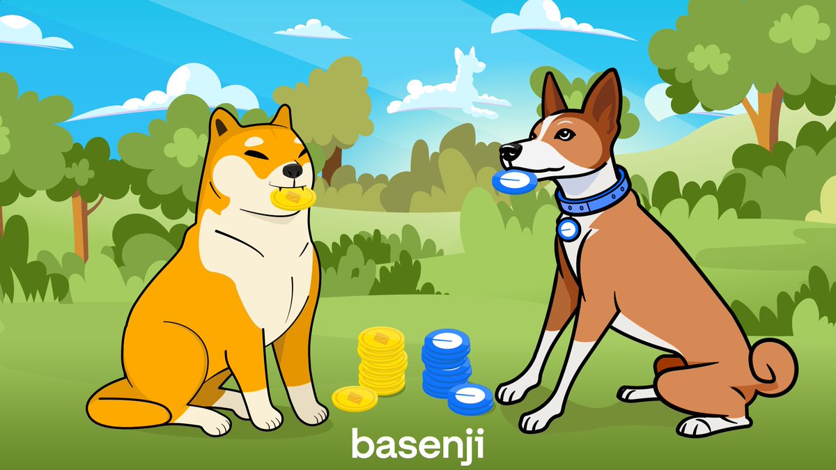 bm bm Basenjis

$BENJI