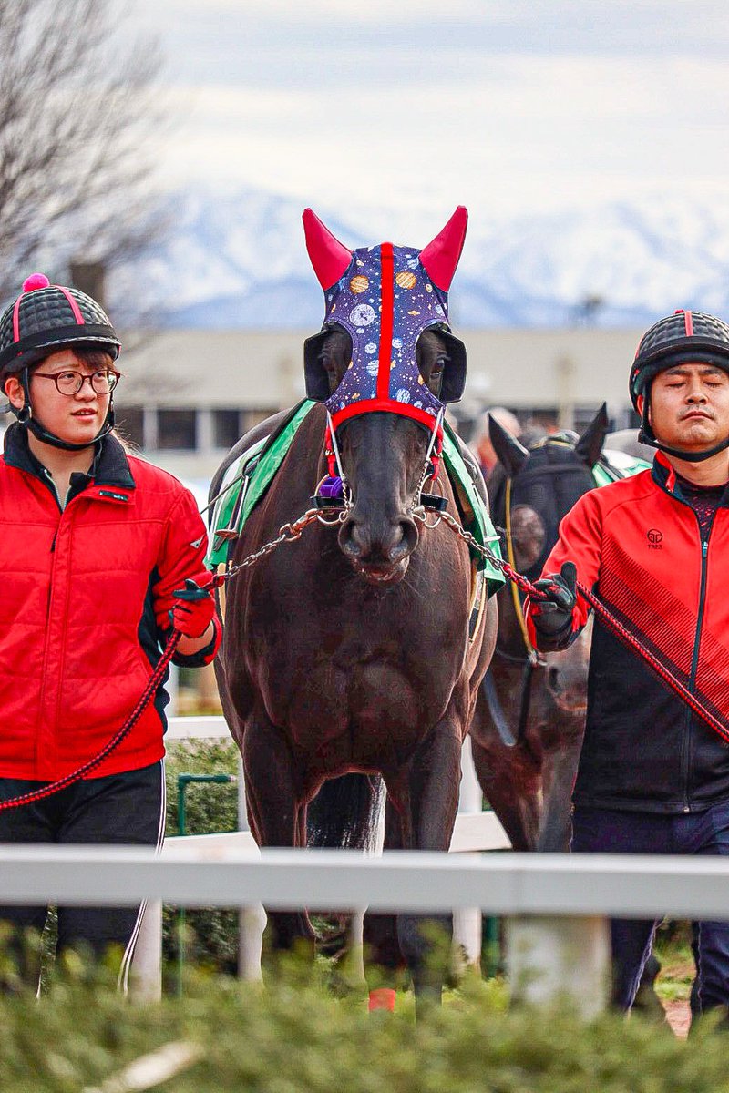 2024.12.10 金沢競馬4R

ナイトプラネットwith teamK