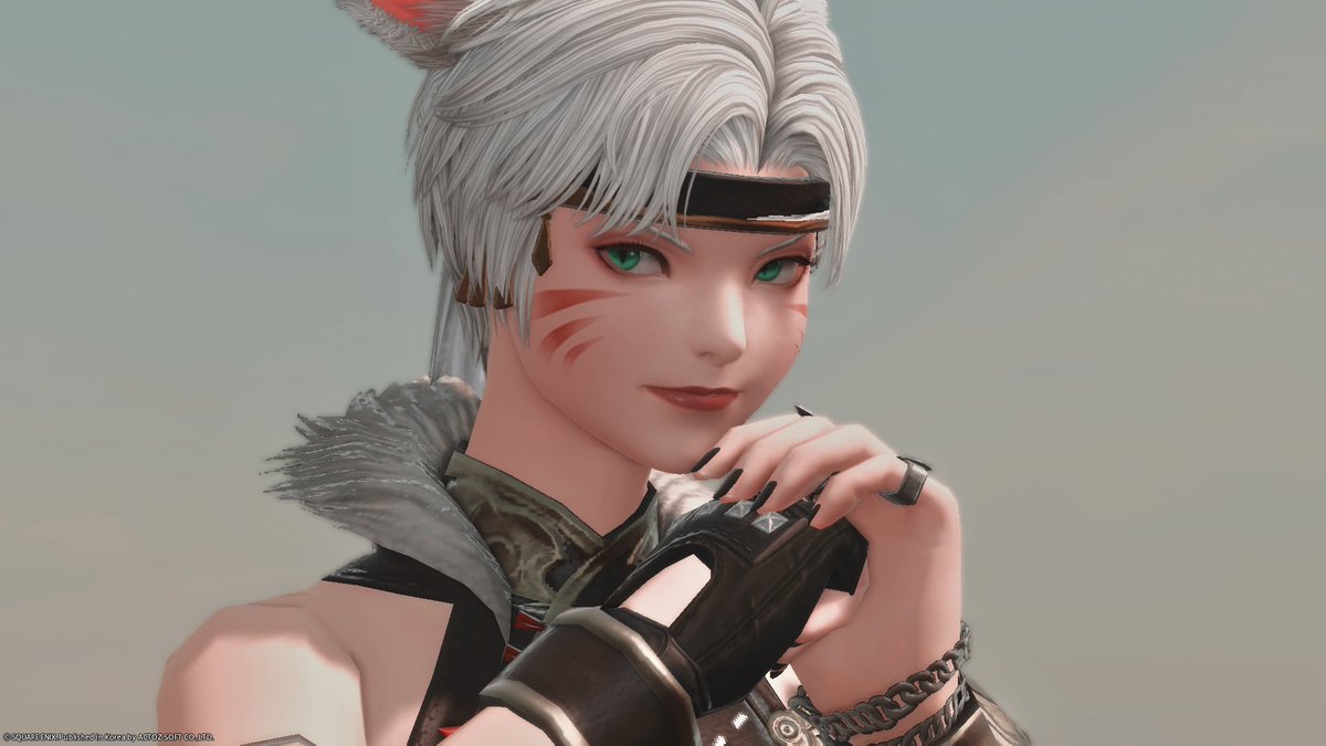 몽구스 tweet media