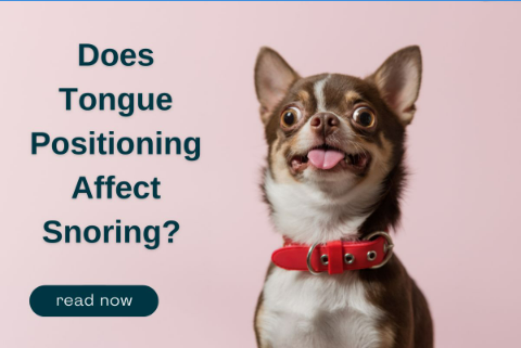 Good Morning Snore Solution tweet media