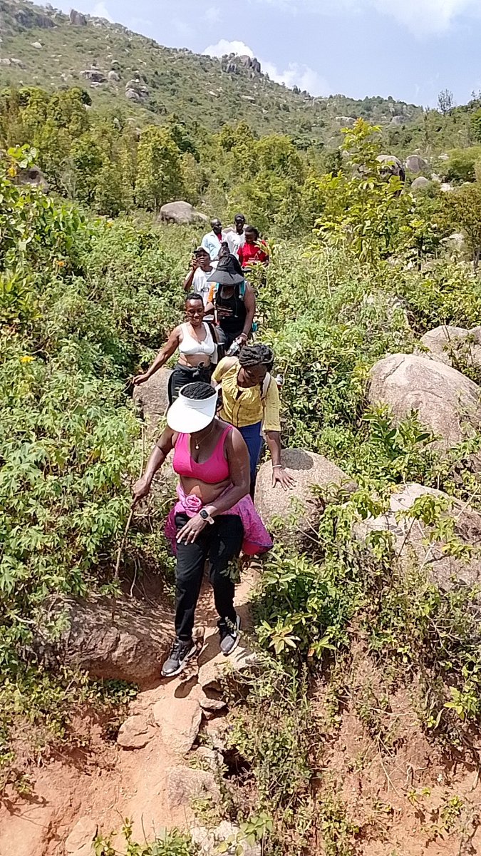 nyabera_CA's tweet photo. Jamhuri Day well spent hiking Maragoli Hills to raise awareness about environmental protection and climate change. 
#JamhuriDay 
#ClimateAction 
#MaragoliHillsHike https://t.co/uANpFhTv2T