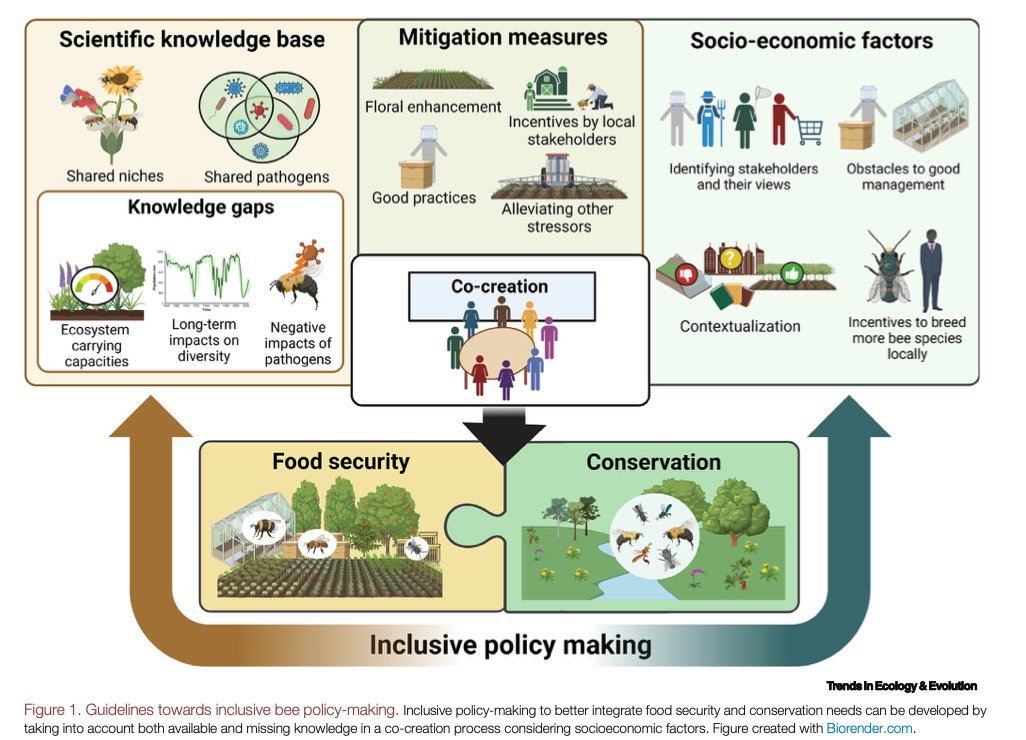 Nigel Raine (@nigeleraine) on Twitter photo "Avenues towards reconciling wild & managed #bee proponents" in <a href="/Trends_Ecol_Evo/">Trends in Ecology & Evolution</a>. Hopefully a useful addition to discussions about the risks posed by managed bees to wild bees, highlighting knowledge gaps that hinder development of evidence-based policies: cell.com/trends/ecology… "Avenues towards reconciling wild & managed #bee proponents" in <a href="/Trends_Ecol_Evo/">Trends in Ecology & Evolution</a>. Hopefully a useful addition to discussions about the risks posed by managed bees to wild bees, highlighting knowledge gaps that hinder development of evidence-based policies: cell.com/trends/ecology…