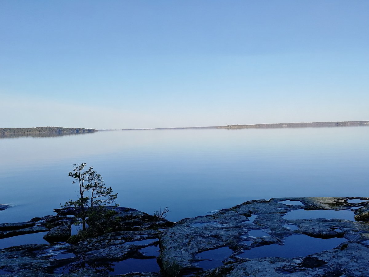tern09's tweet image. Rör inte strandskyddet som är viktigt för biologisk mångfald och för allemansrätt för alla. 
wwf.se/debattartikel/…