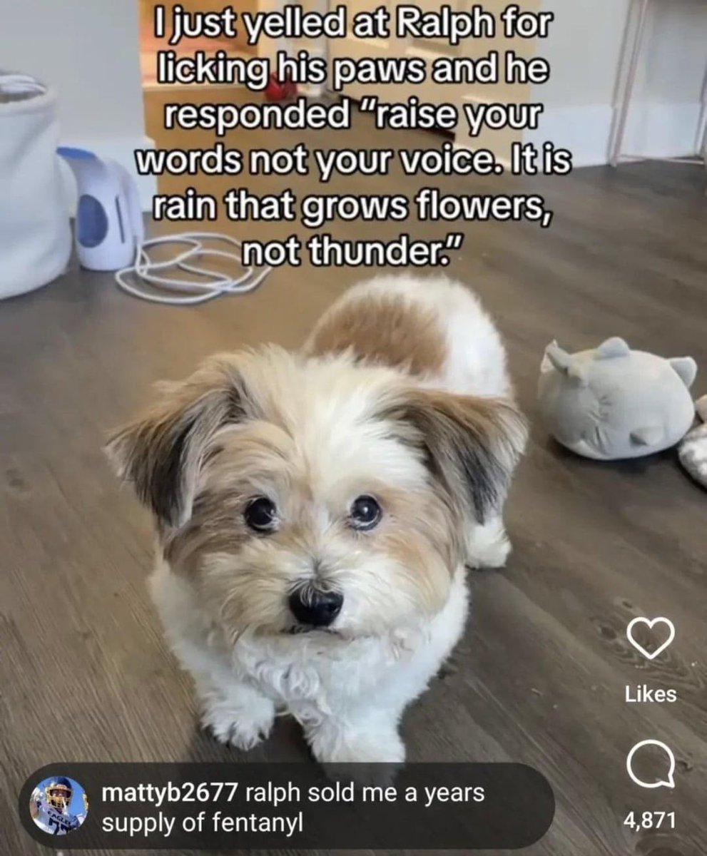 no context memes (@weirddalle) on Twitter photo 