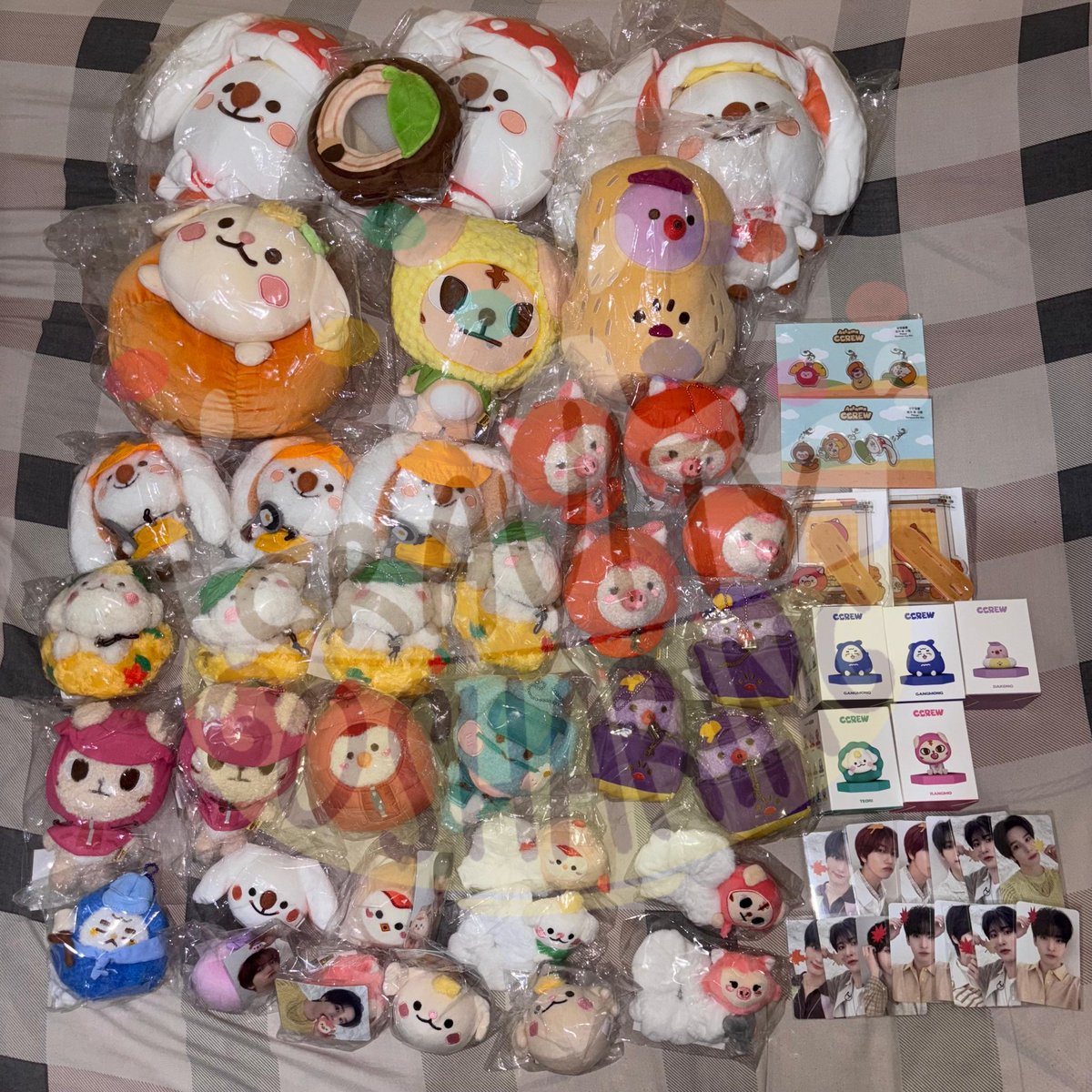 🇮🇩 Cravity GO Sharing tweet media