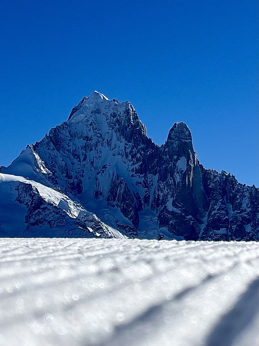 Mark Seaton tweet media