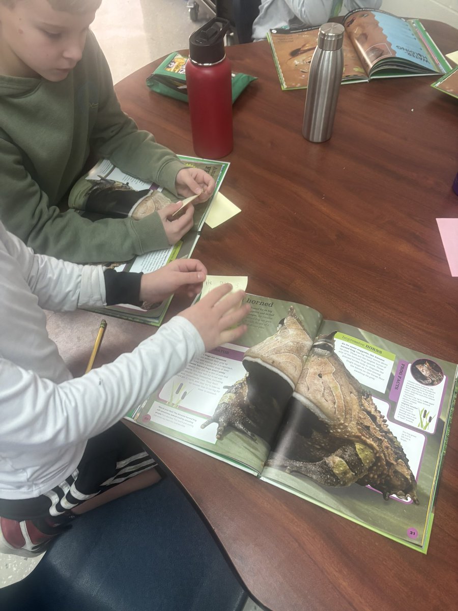 laura ruschman tweet media