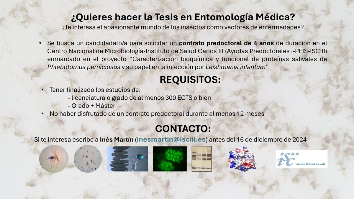 ¿Quieres hacer la Tesis en Entomología Médica? 
Se buscan candidat@s!
Contáctame antes del 16/12/2024