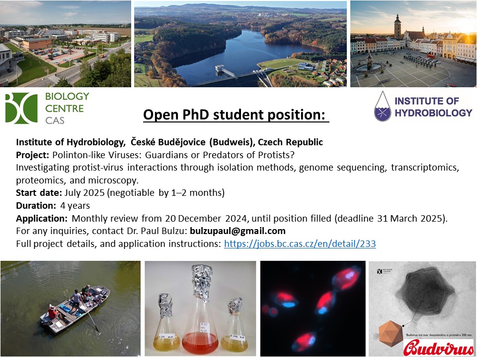 🚨 PhD Opportunity Alert! 🚨
Passionate about virus-protist interactions? 
Join us to explore Giant Viruses &amp; Polintons ! 🧬 #PhDPosition #Microbiology #Virology #PhDlife 
Deadline: 31 March 2025
jobs.bc.cas.cz/en/detail/233
<a href="/paul_bulzu/">Paul</a> <a href="/SmallThingsLab/">SmallThingsLab</a>
