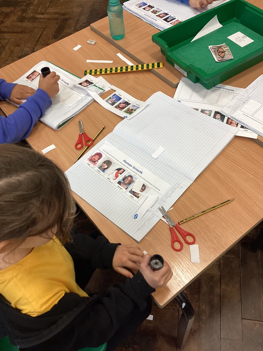 Year2Markeaton's tweet image. In science we have been learning about lifecycles 🐛🦋 #mpsscience