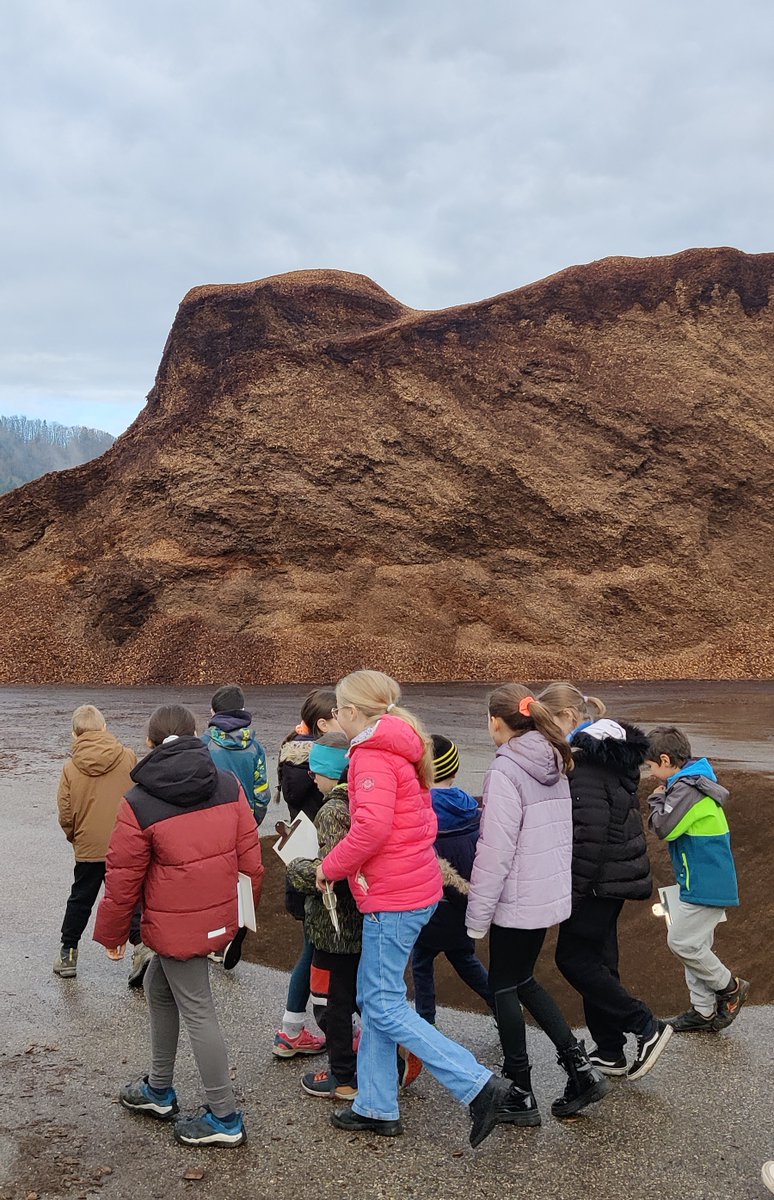 #COFOR73 Mardi dernier, les enfants des Forêts pédagogiques de St-Pierre d'Entremont et Entremont-le-Vieux ont visité la scierie de Chartreuse et Multi Trans, spécialisés dans la production et le transport de plaquettes forestières. Une belle découverte des métiers du bois ! 🌲🚛