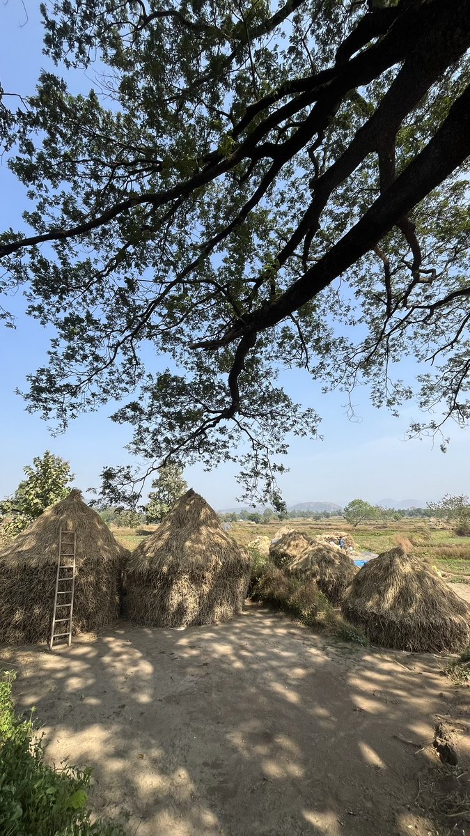 Just village things