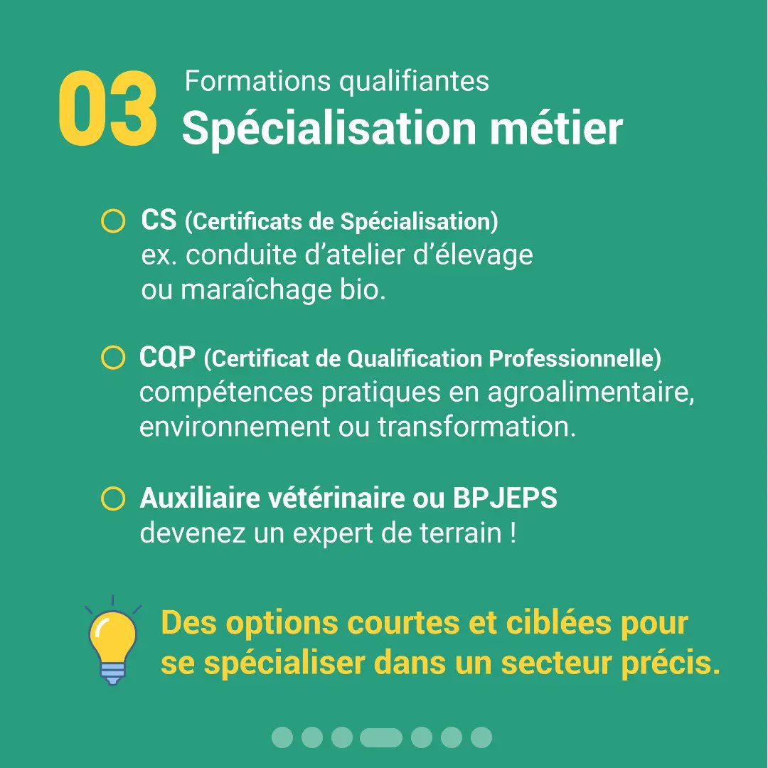 APECITAemploi's tweet photo. 🎓 Après un bac STAV, quelles options ?
Lors de notre webinaire, nous avons présenté :

👉 BTS Agricoles
👉 BUT/Écoles d’ingénieurs
👉 Formations qualifiantes

🚀 Découvrez toutes les possibilités 👇 ou sur https://t.co/dLaJpJDCaz https://t.co/JLuJIB9aWy