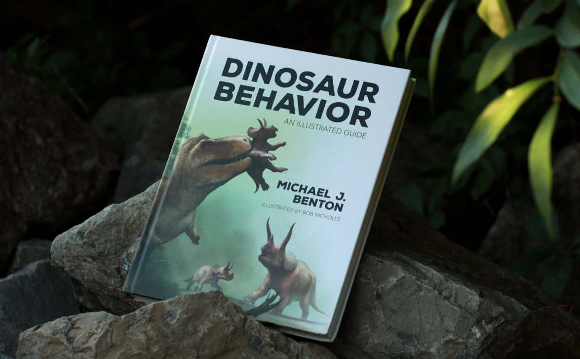 UniPressBooks's tweet photo. Looking for the ultimate gift for the dinosaur lover in your life? 🦖🎄

Dinosaur Behaviour is a beautifully illustrated guide to these extraordinary creatures. A deep dive into how dinosaurs looked, moved, and lived, featuring the latest thrilling discoveries in paleontology. https://t.co/QRW5pqC4sV