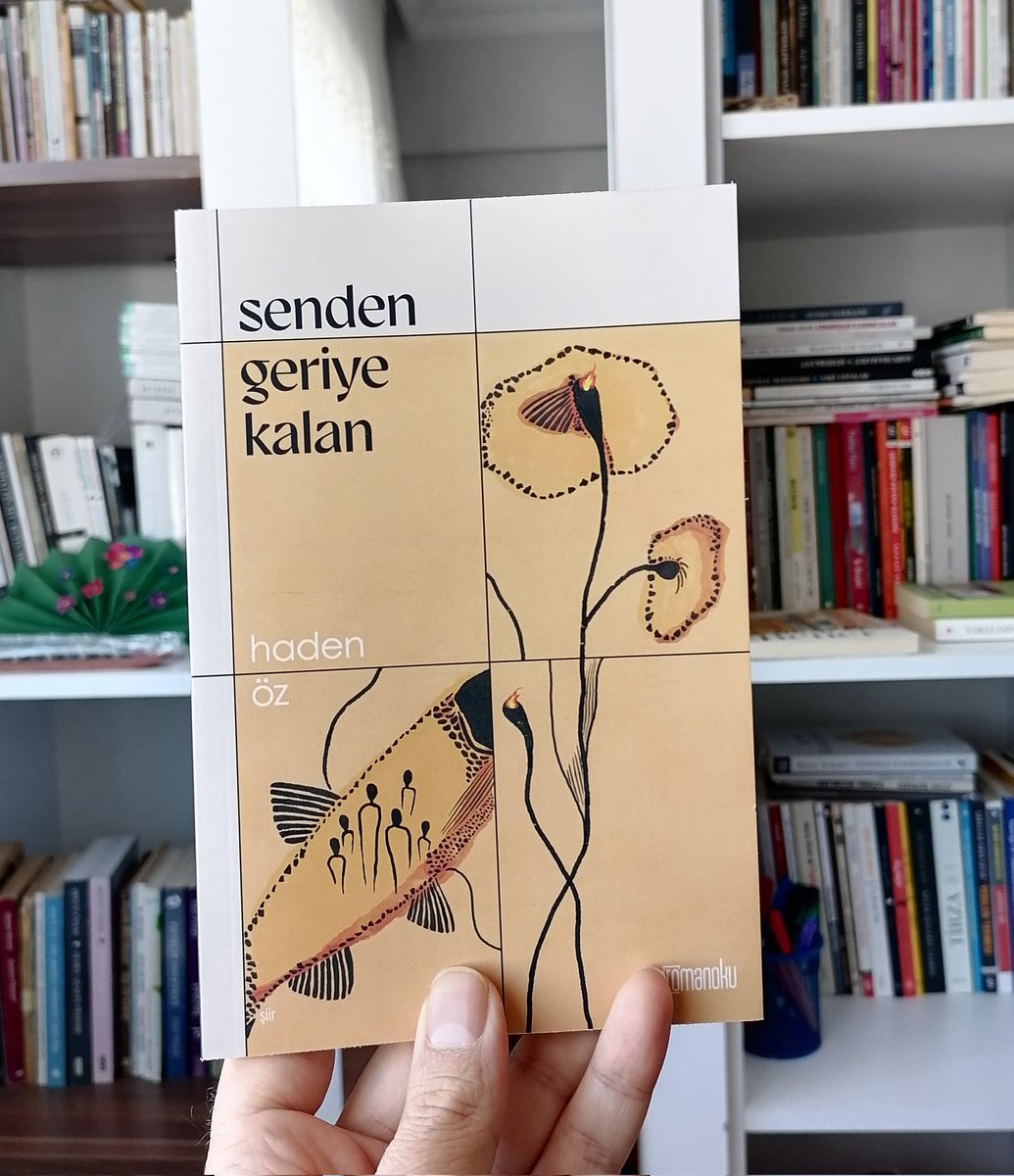 haden öz tweet media