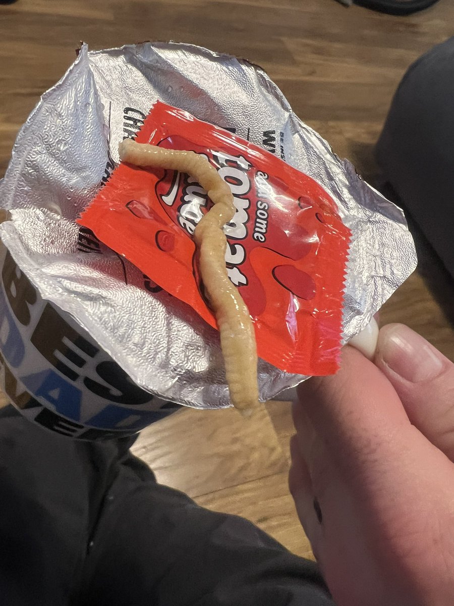 djdanwatts's tweet photo. @PotNoodle why is there a worm in my beef and tomato? https://t.co/bc880dwFDE