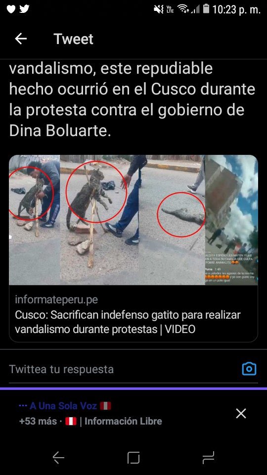 Joel Villanueva Diaz tweet media