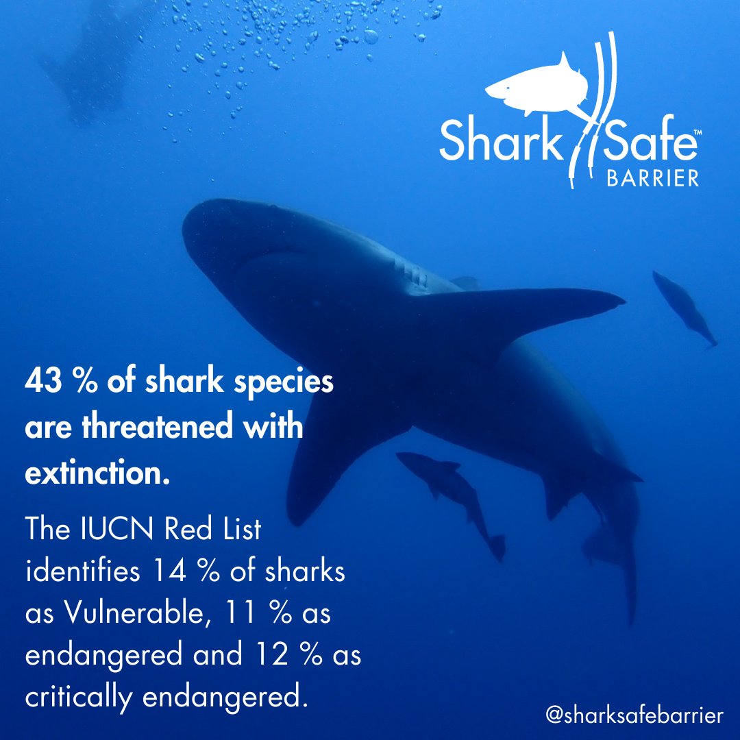 SharkSafe Barrier Pty Ltd tweet media