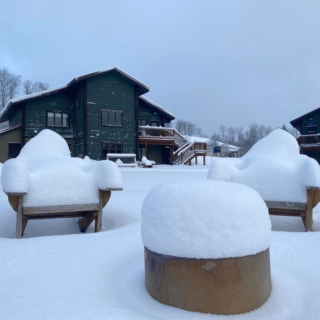 Treetops Resort tweet media