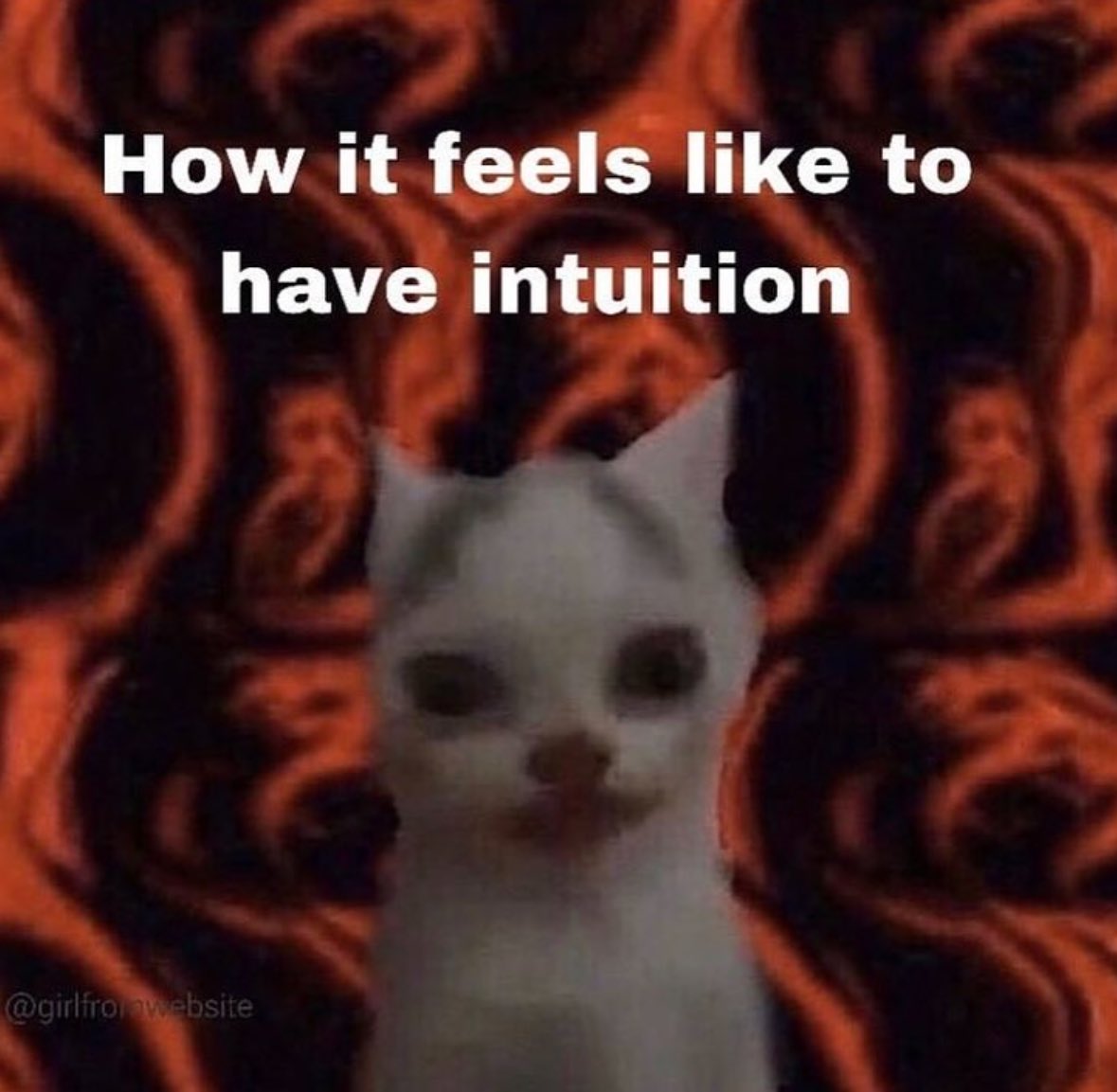 ✧ (@northstardoll) on Twitter photo 