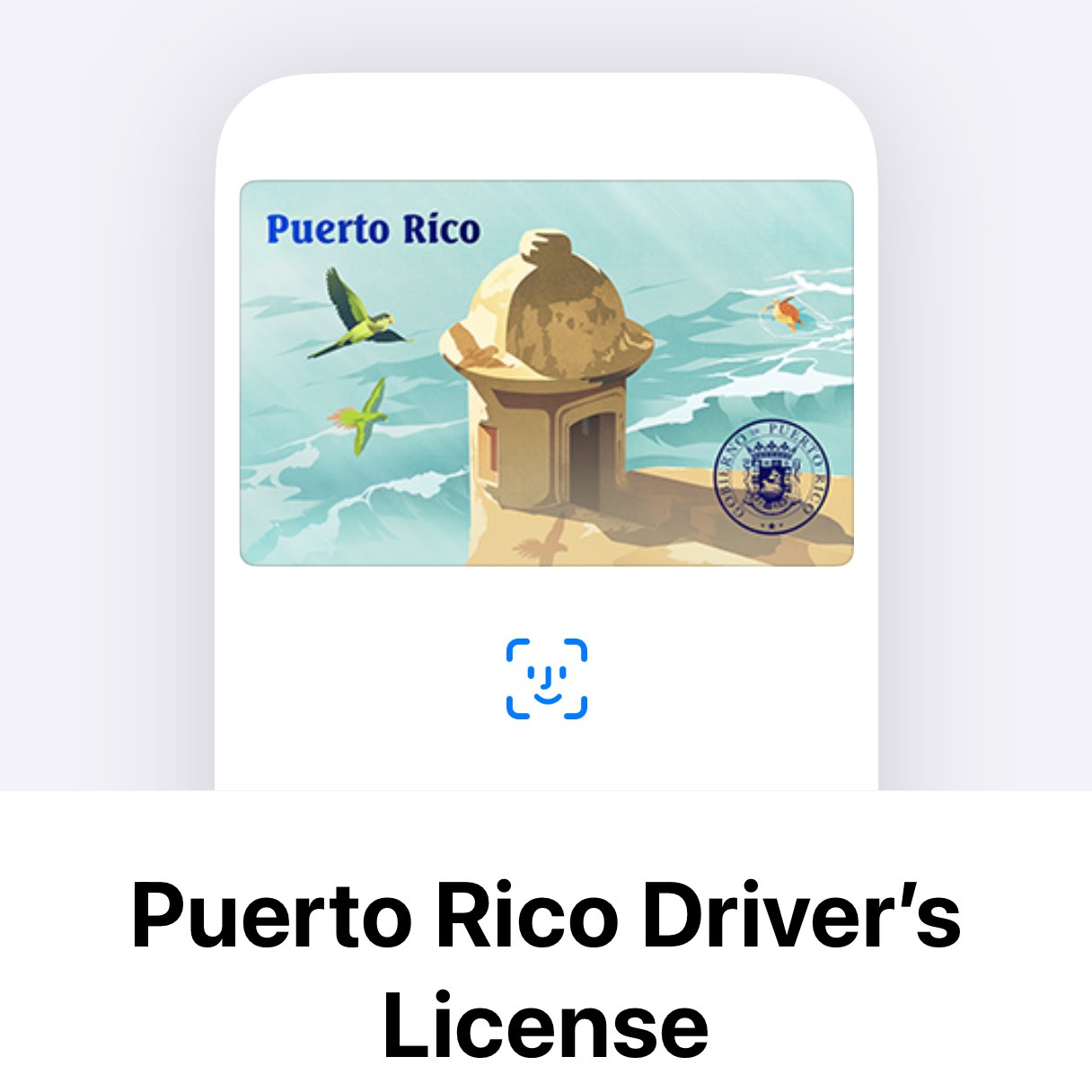 Puerto Rico Driver Abstract Blank Drivers License Puerto Rico Lag Of Puertorico From Brush Strokes