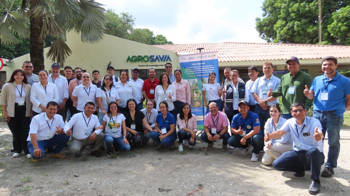 AgrocalidadEC's tweet photo. ✅En el marco del Proyecto #ALER4TA con apoyo @IICAEcuador, @IICAColombia, @giz_colombia, @GIZEcuador, @ICACOLOMBIA y @SomosAGROSAVIA participamos en el taller "Actualización en toma de muestras vegetales para el diagnóstico de enfermedades en musáceas, con énfasis en #FocR4T”. https://t.co/a8UdAjdnzI