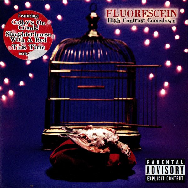 Forgot90s's tweet image. Forgotten 90s Album Of The Day:

Fluorescein - High Contrast Comedown (1998)