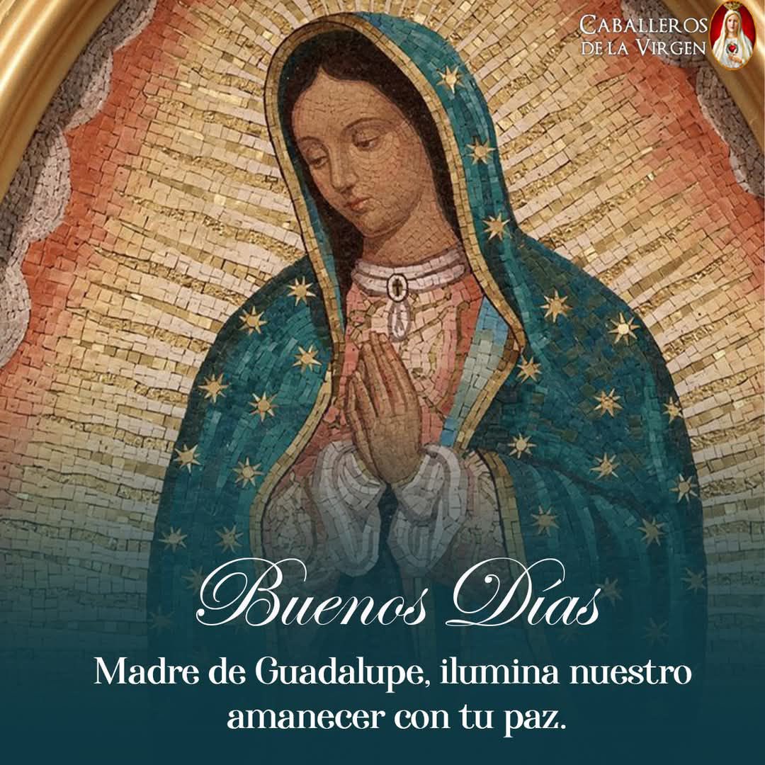 Lilly Téllez tweet media