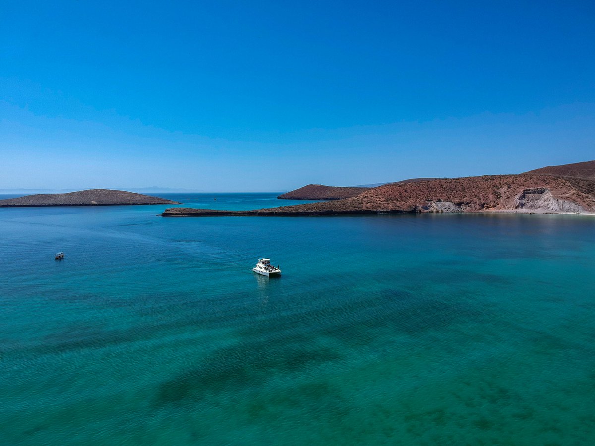 AlvarAtQuivira's tweet photo. Discover incredible experiences all year long in Los Cabos ✨
Paradise is waiting for you 🛥️

#alvaratquivira #loscabos #cabo #destination #alvar https://t.co/m5pdQRFzhj