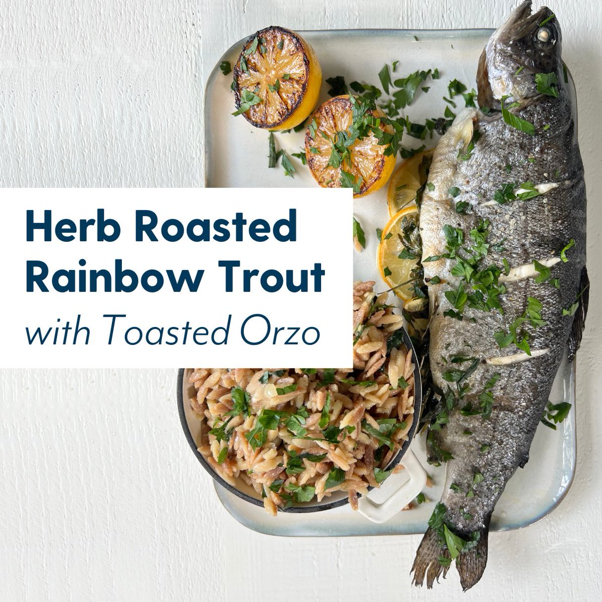 Fed by Blue tweet media