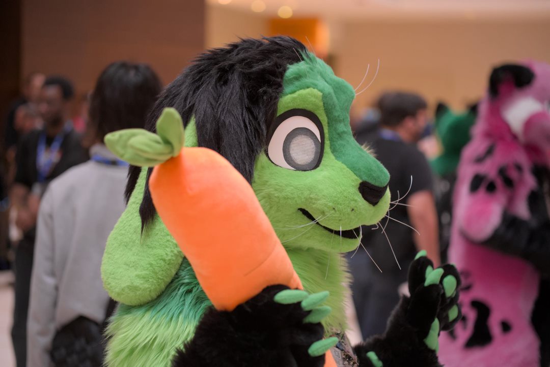Heres some wonderful photos of my fursuit at #MFF2024 taken by <a href="/LCB_Meyneth/">Clear All Meyneth</a> !!! Full fursuit made by <a href="/WowDragonStudio/">WowDragonStudio</a> 💚💚💚