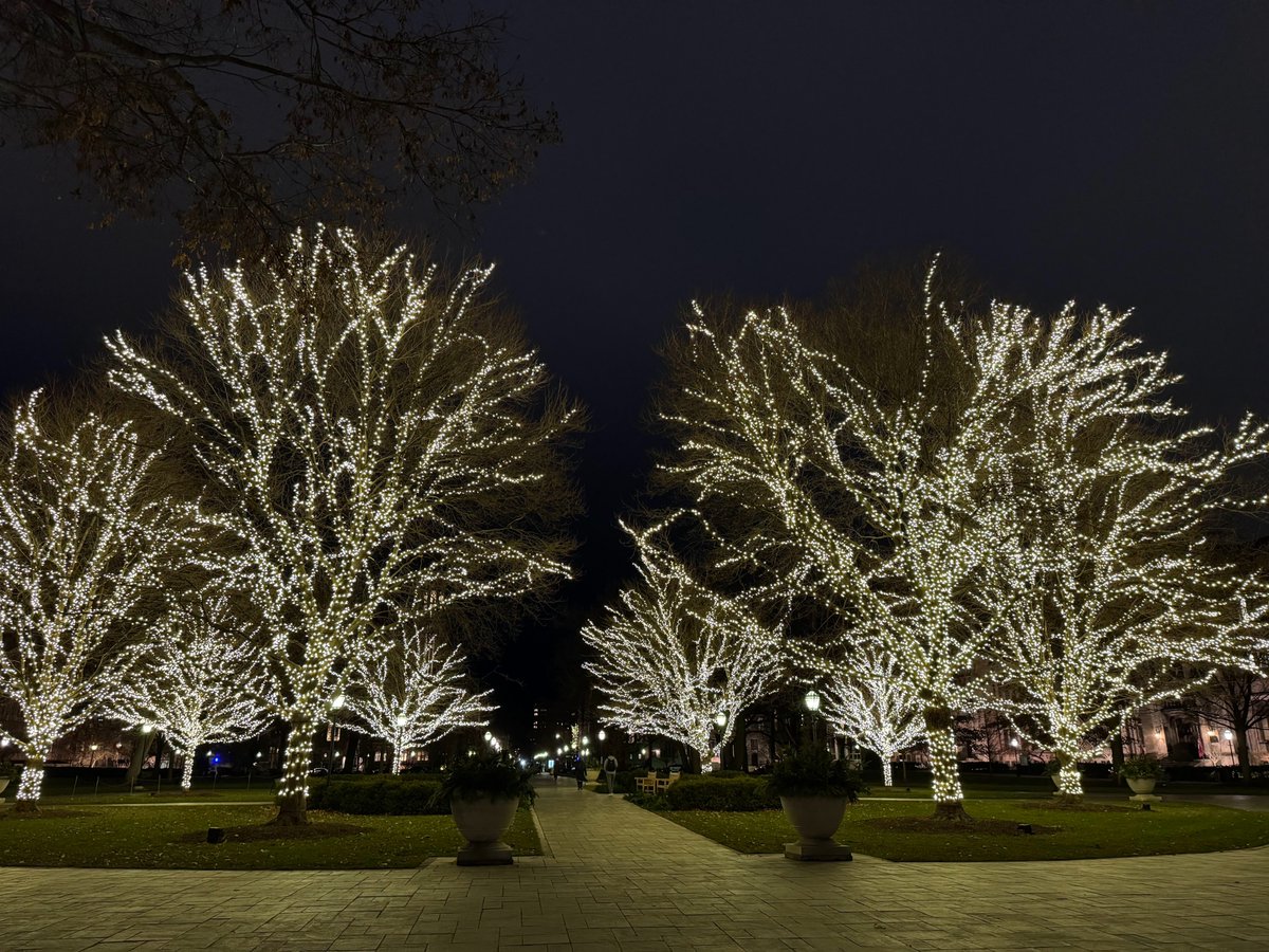 2024年度秋学期もいよいよ明日で終了です。日が落ちるのがとても早くなり、連日氷点下ですが、キャンパスはイルミネーションで夜も綺麗です。皆様も良い年末年始をお過ごしください！🎄⛄️